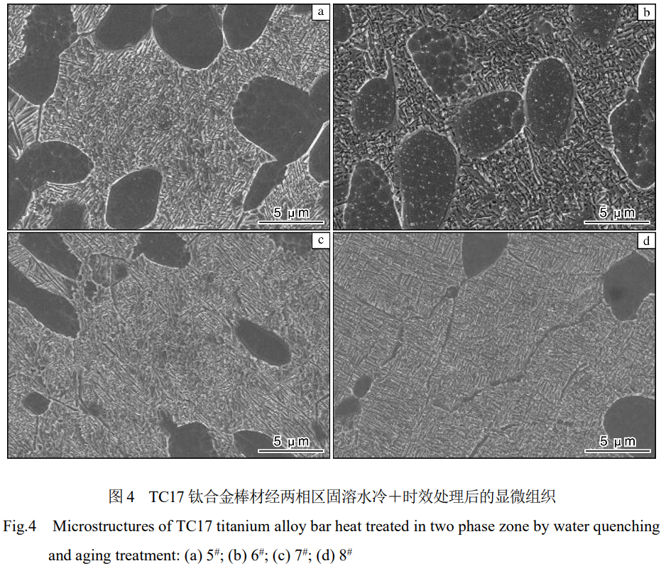 熱處理工藝對大規(guī)格TC17鈦合金棒材組織與力學性能的影響
