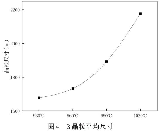 1701296697256535.jpg t4.jpg