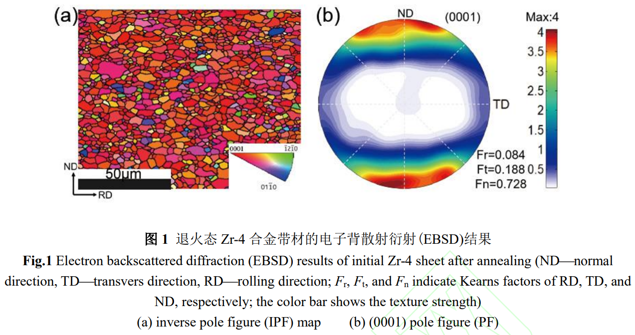 1734139596790605.png 1.png